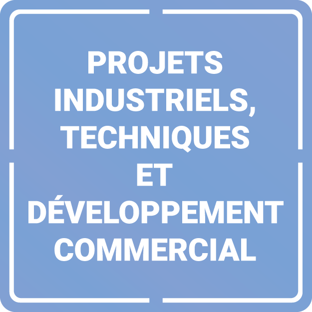 Projets industriels et développement commercial